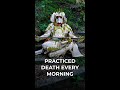 Why Samurai Warriors Practiced Death Every Single Morning #shorts