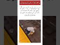 “The Train Was Seconds Away… Then This Man Jumped!”