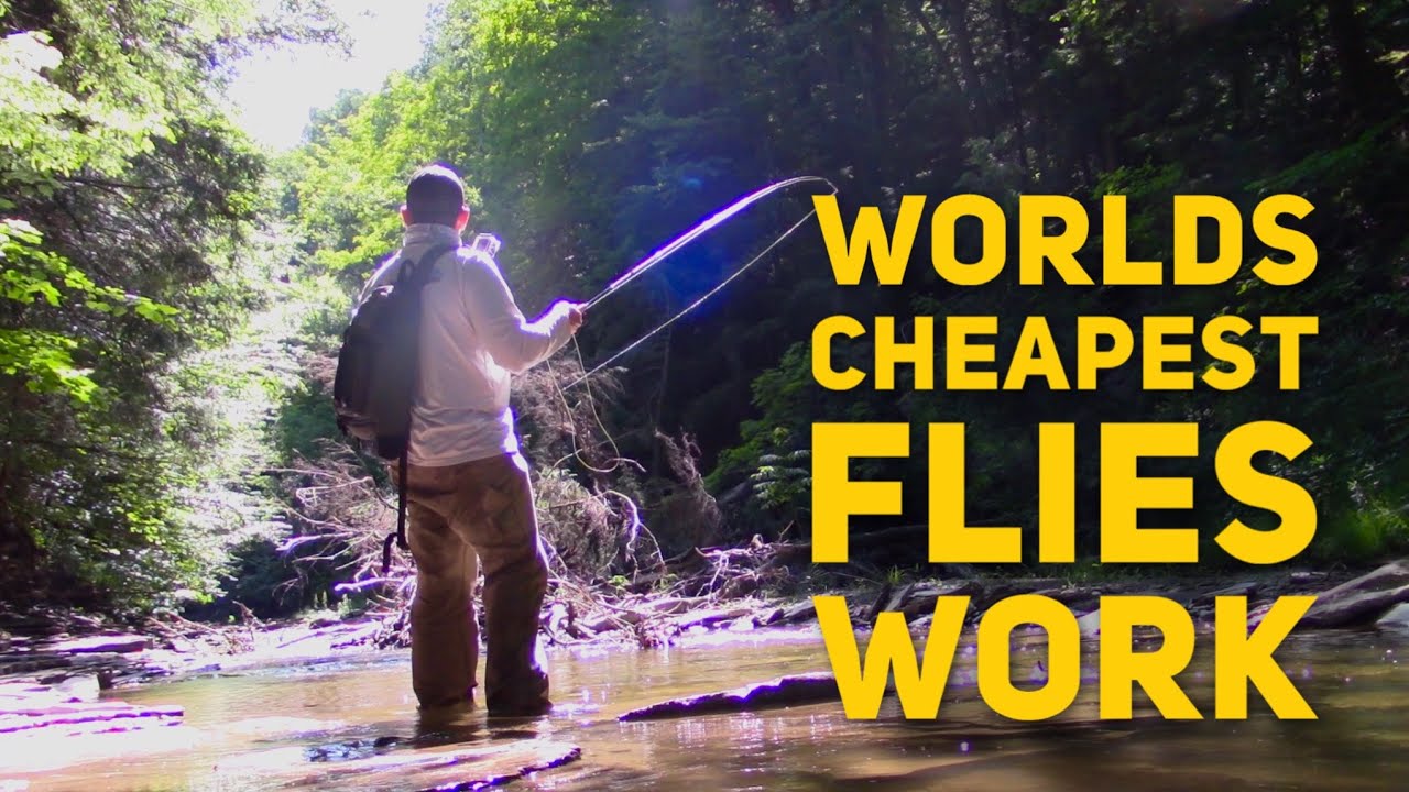 CHEAPEST Flies That ACTUALLY Catch Fish & Hold Up