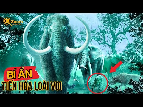 Video: Làm thế nào để đánh bại đồng đô la?