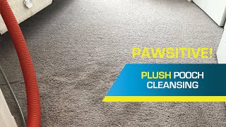Only-Way Cleaning Services | Carpet Cleaning — Plush and Soft Again screenshot 5