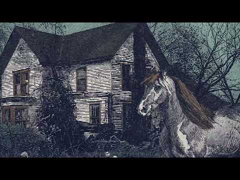 Putar Confession - The Cold Stares