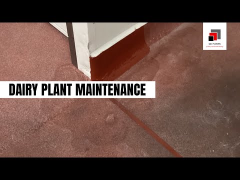 Repairing Dairy Floors: Professional Solutions and Safety Upgrade