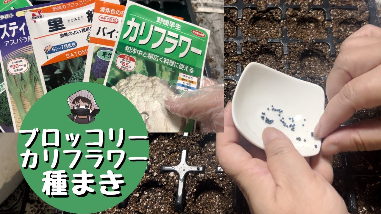 A little late, but time to sow seeds [Broccoli] [Cauliflower
