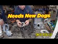 Step-byStep tear down of a dogbox transmission - Episode 1
