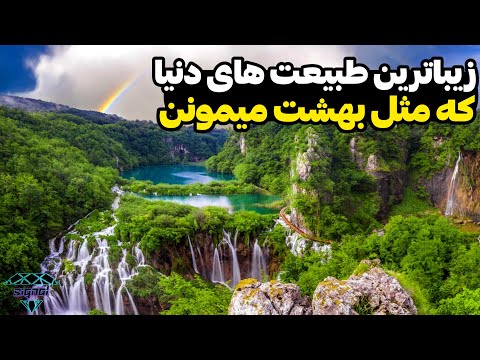 تصویری: زیباترین گل دنیا. گل های غیر معمول در طبیعت