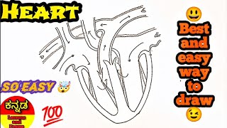 How to draw Human heart. Heart drawing. Human heart drawing.