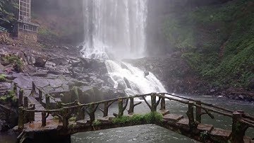 Thác Đambri (Tp.Bảo Lộc - tỉnh Lâm Đồng) | Đambri Waterfall (Bao Loc City...