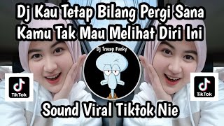 DJ KAU TETAP BILANG PERGI SANA KAMU TAK MAU MELIHAT DIRI INI TREND TIKTOK TERBARU STAILE KANE