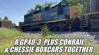 CSX Trains Roll By Relay Hotel | Heavy Freights in Joppa and Rosedale