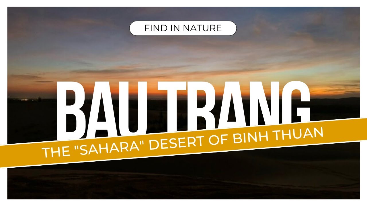 BÀU TRẮNG - TIỂU SA MẠC ''SAHARA" CỦA BÌNH THUẬN | BAU TRANG - THE "SAHARA" DESERT OF BINH THUAN
