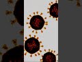 Coronavirus under microscope