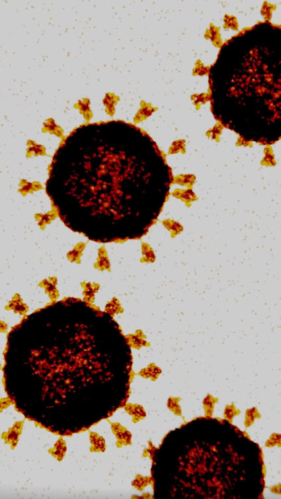 Coronavirus under microscope