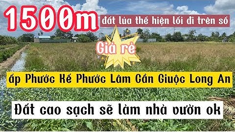 ❤️ 1500m đất lúa thể hiện lối đi trên sổ giá rẻ | Ngọc Tâm đất giá rẽ