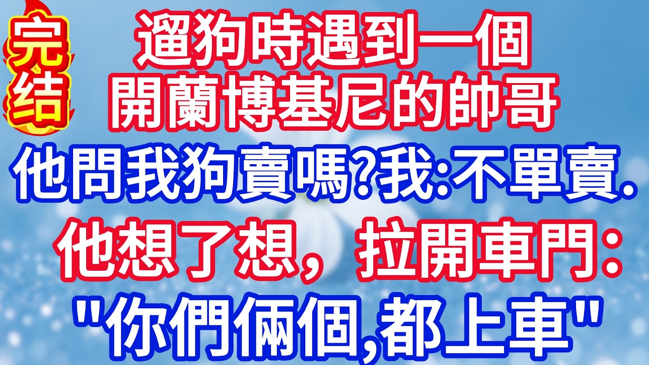 遛狗時遇到一個開蘭博基尼的帥哥，他問我狗賣嗎？我：“不單賣。”他想了想，拉開車門：“你們倆個，都上車！#完结文#情感故事#一口气看完