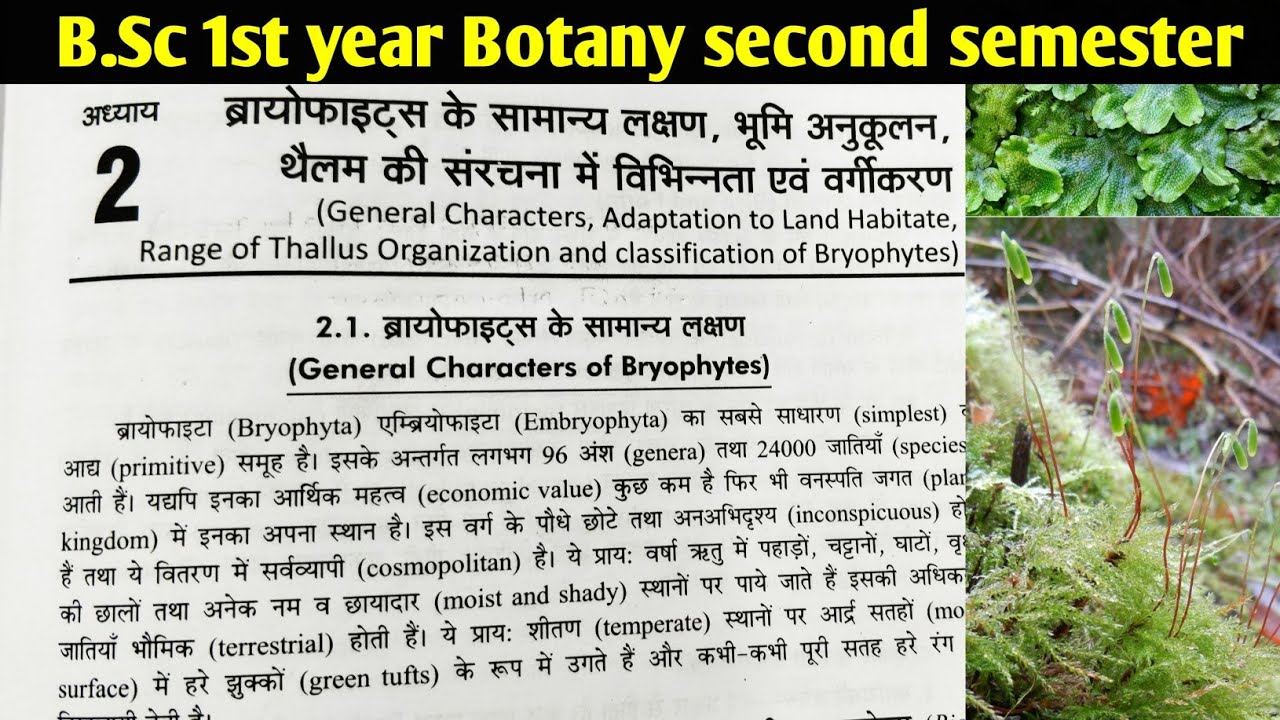 General Characters of Bryophytes || B.Sc first year Botany second semester