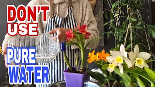 Reverse Osmosis Water and Distilled Water could be killing your orchid Is Distilled Or Reverse Osmosis Water Better