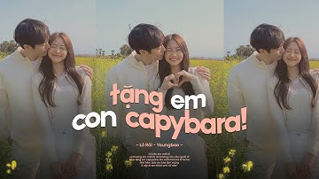 Lỡ Rồi (Lofi Chill) - Youngbao x Will M | Mua tặng em con capybara... / Lyrics Video