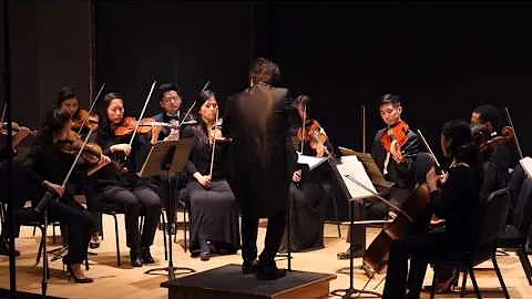 New York Classical Symphony Orchestra(Music Direct...