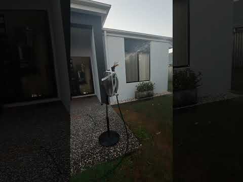 I Forgot to Buy a Sprinkler!