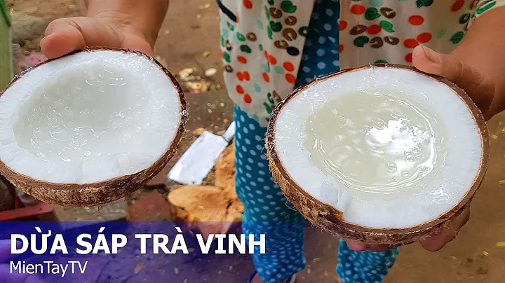 Top 14 dừa sáp ở đâu