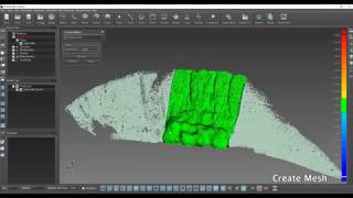 PointShape Surveyor Tutorial 6. Create Mesh