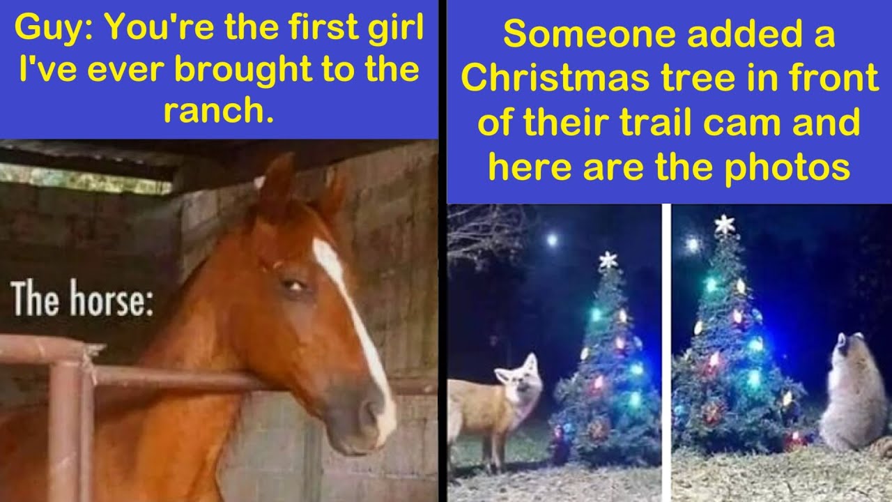 Funny Memes That Show Why Country Living Isn’t As Peaceful As You Think | Happy And Fun