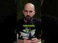 Pomoćna slika
