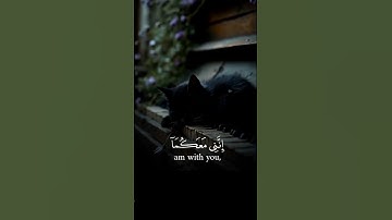 مشهد قرآني خالد|﴿لَا تَخَافَا إِنَّنِي مَعَكُمَا أَسْمَعُ وَأَرَى﴾💎✨ تلاوة تهز القلوب وتبعث الأمل🌿🕊️