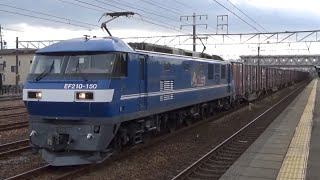 高速コンテナ列車 2073レ EF210−150(新)新塗装 全検明け＋コキ14両フル積載  清洲駅 通過  2025年11月18日(火)撮影  