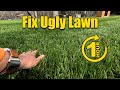 How to fix an ugly lawn in one day