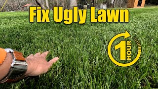 How to Fix an Ugly Lawn in One Day