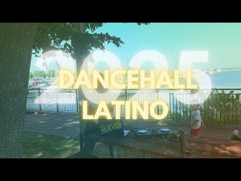 Dancehall Latino mix2025