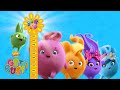 SUNNY BUNNIES - How to Make a Bunnies Height Chart | GET BUSY COMPILATION | Cartoons for Children