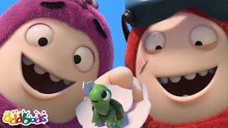 Egg on my Face | Oddbods | Monster Cartoon for Kids