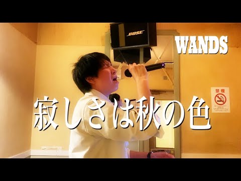 【歌ってみた】寂しさは秋の色／WANDS