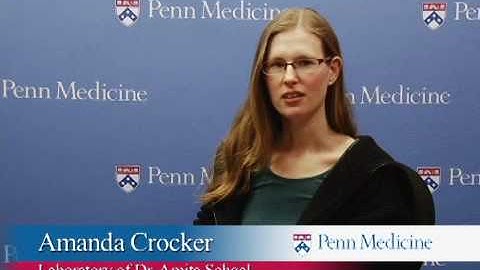 Octopamine Regulation of Sleep