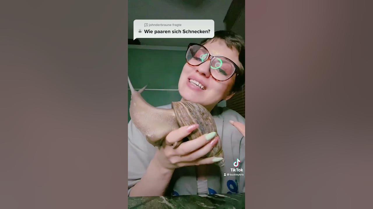 Wie Paaren sich Schnecken? #schnecken #achatschnecken #shorts - YouTube