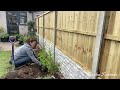 Plants have to be moved for garage base demolition  garden rewards 