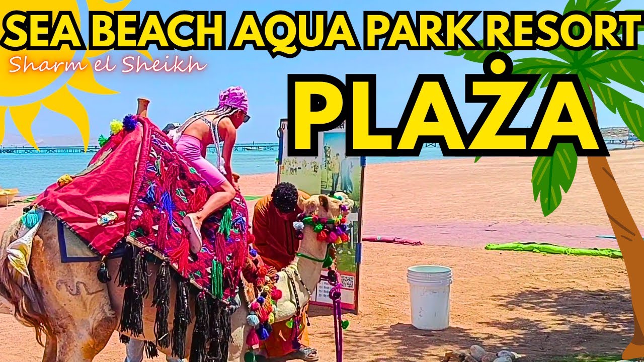 Sea Beach Aqua Park Resort | Plaża, Quady i Wielbłądy w Sharm el Sheikh z Olexią! 🌴🐪