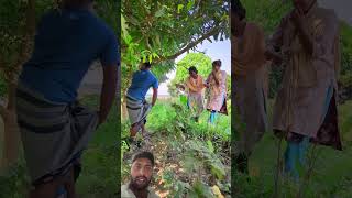 90'S Old Hindi Songs90s Love Song Udit Narayan, Alka Yagnik, Kumar Sanu songs Hindi Jukebox