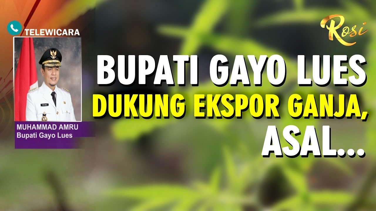 Bupati Gayo Dukung Ekspor Ganja Asal ... - ROSI