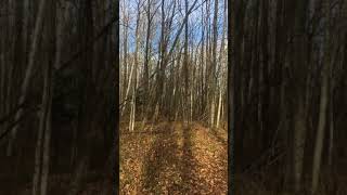 IMG 4311