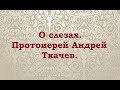 О слезах. Протоиерей Андрей Ткачев.