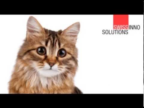Repulsif Animaux Ultrasonique Swissinno Youtube Repulsif Animaux Ultrasonique Swissinno Youtube