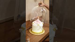 Princess Dome Cake Design Eggless Fairytale Cake Mr Crust Bakery Delhi Barbie Cake