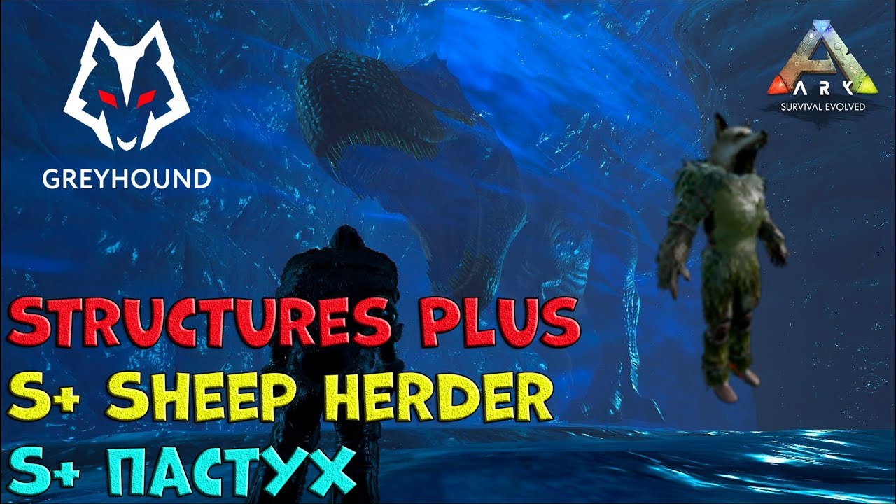 🐺 S+ Sheep Herder | Пастух S+