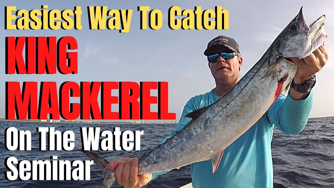 Easiest way to catch KING MACKEREL  Planer trolling lure, bait, basics &  tactics 