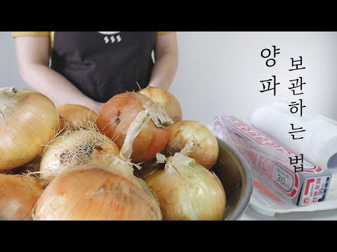 여러가지 방법으로 양파를 오래 보관하는 법/ 양파 보관법의 모든것!양파 한망으로 몇달동안 썩지 않고 보관하는 방법
