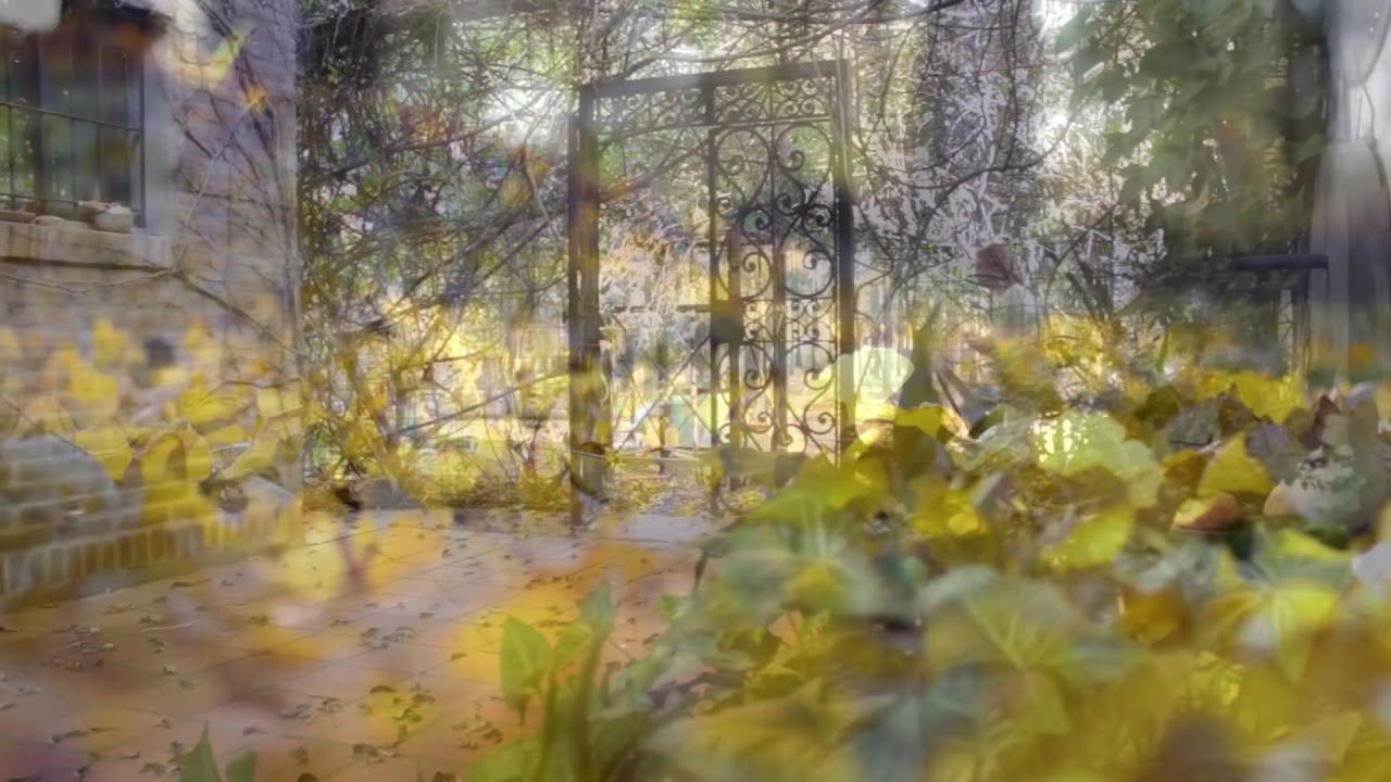 Consagración de los niños a Jesús (Talita Kum)